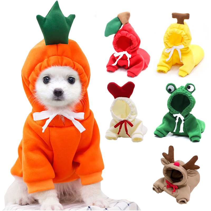 Pakaian Anjing Buah Lucu untuk - Winter Clothing Pictures ulasan dan harga